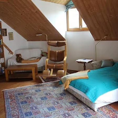 Ferienwohnung Abelein พัสเซา ภายนอก รูปภาพ